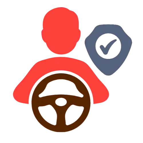 Driver Profesional